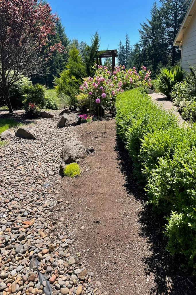 backyard-with-fresh-landscaping-some-plants-and-rocks-in-backyard