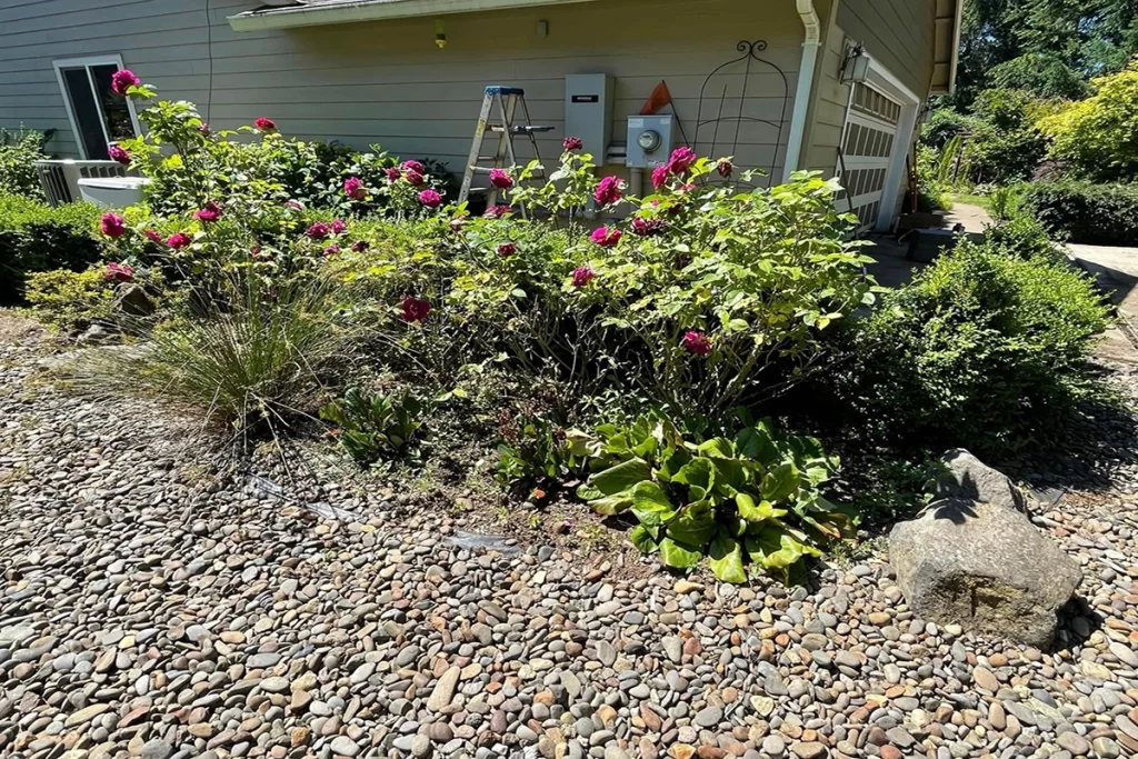 freshly-installed-rocks-in-garden-area