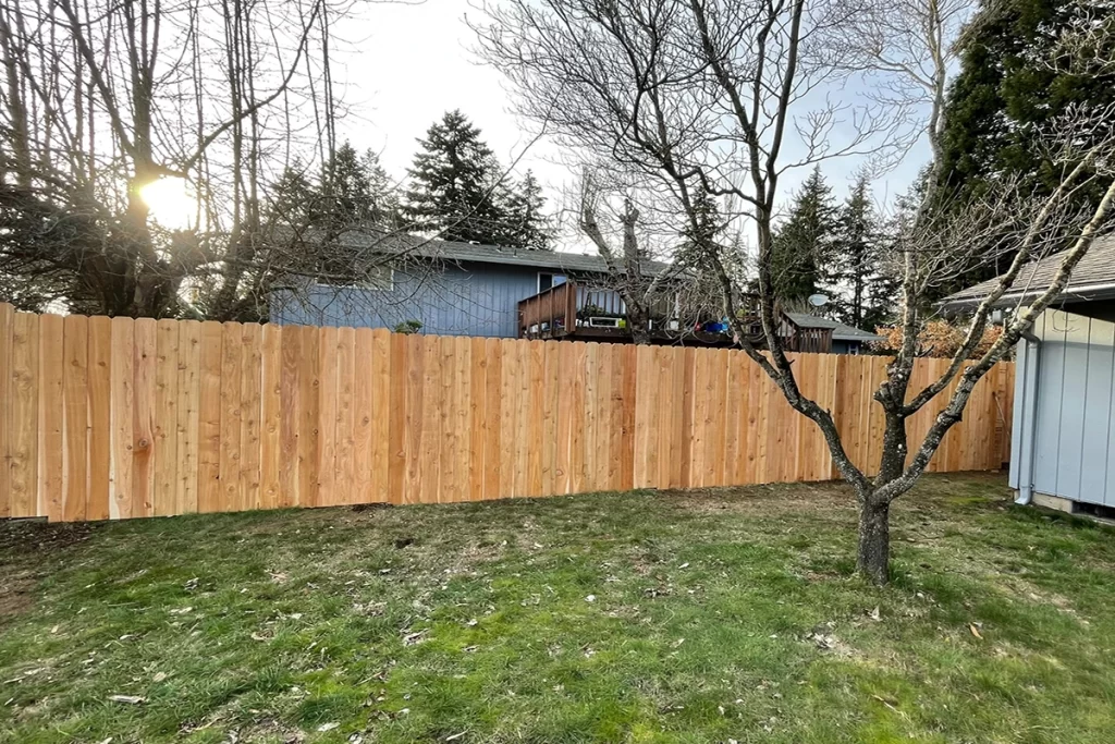 new-wood-fence-in-backyard
