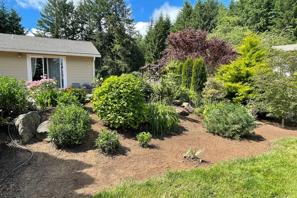newly-done-landscaping-in-backyard