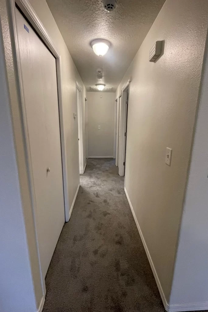 newly-installed-carpets-in-hallway-of-home