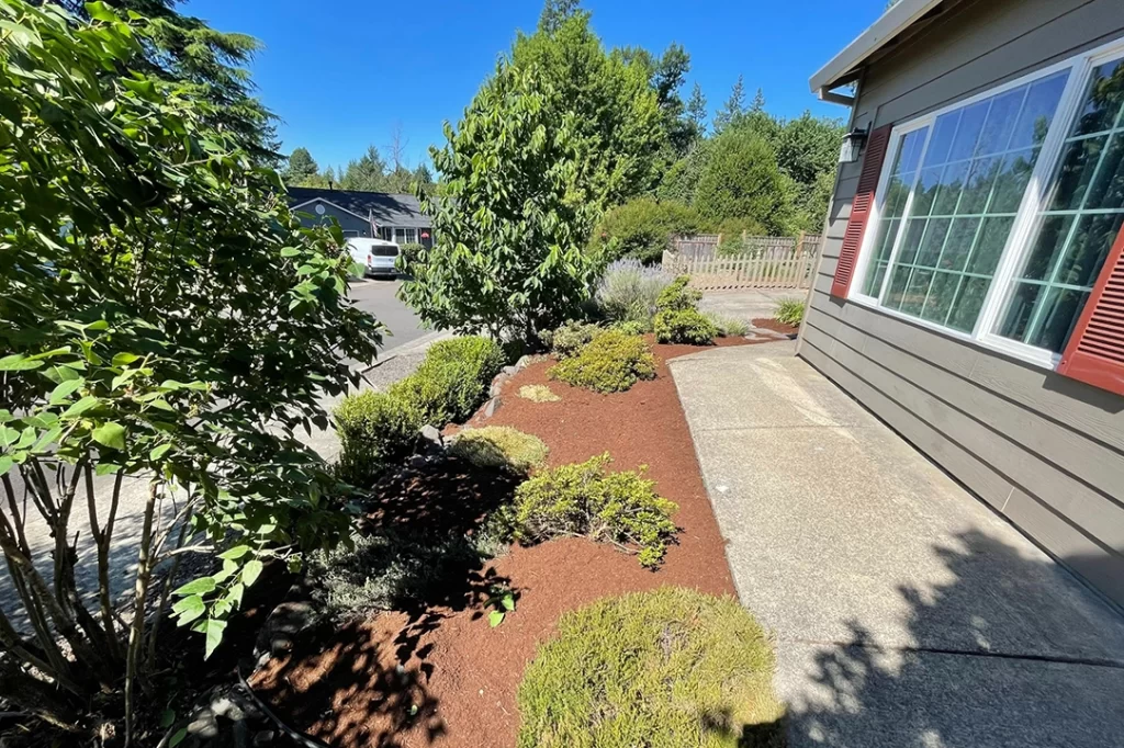 mulch-put-in-for-planter-in-frontyard