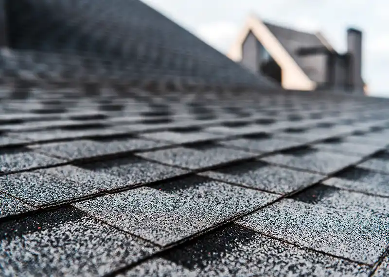 salexx roofing asphalt shingles