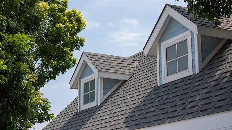 salexx roofing asphalt shingles